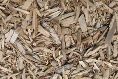 biomass boilers Lower Birchwood